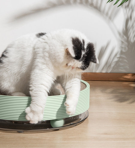 Apaļš kaķu skrāpis - divi izmēri