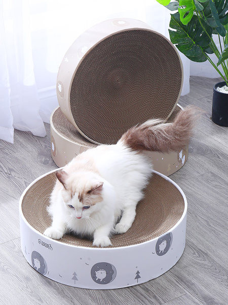 Apaļš kaķu skrāpis - divi izmēri