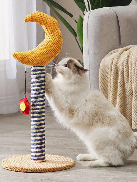 Zgarietor vertical pentru pisici - doua modele