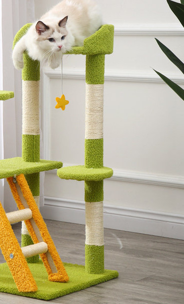 Alpinistas su draskytuku katėms