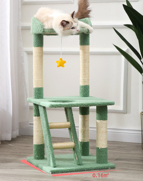 Alpinistas su draskytuku katėms