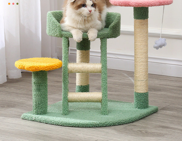 Alpinistas su draskytuku katėms