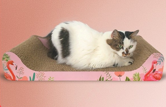 Pat pentru pisici Scratch în două dimensiuni