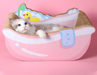 Scarlet pentru pisici cu hartie ondulata - mai multe modele