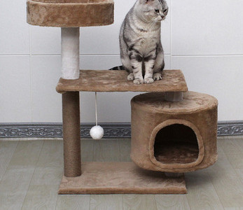 Γάτα αναρριχώμενο δέντρο σε διαφορετικά μοντέλα