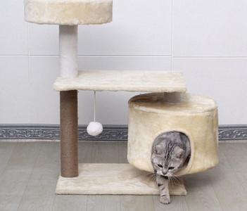 Γάτα αναρριχώμενο δέντρο σε διαφορετικά μοντέλα