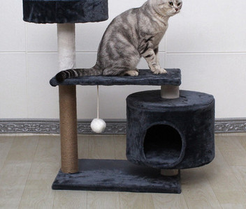 Γάτα αναρριχώμενο δέντρο σε διαφορετικά μοντέλα