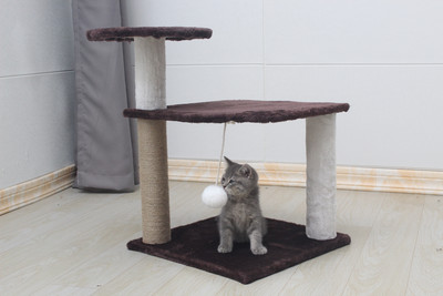 Γάτα αναρριχώμενο δέντρο σε διαφορετικά μοντέλα