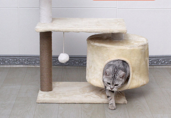 Γάτα αναρριχώμενο δέντρο σε διαφορετικά μοντέλα