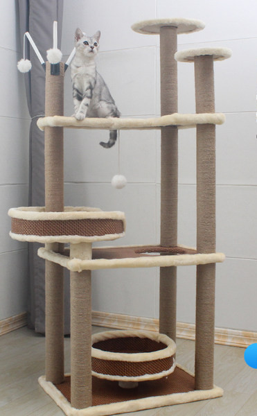 Συνδυασμένη σκάλα και ξύστρα για γάτες - πολλά μοντέλα