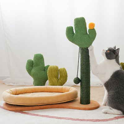 Scratcher kassidele - neli mudelit