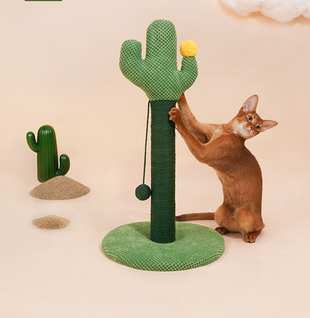 Scratcher kassidele - neli mudelit