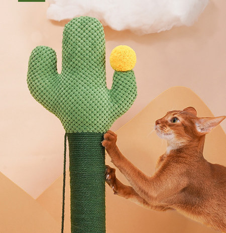 Scratcher kassidele - neli mudelit