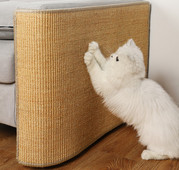 Ξύστρα γάτας - πολλά μοντέλα