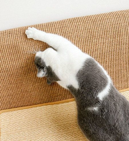 Ξύστρα γάτας - πολλά μοντέλα