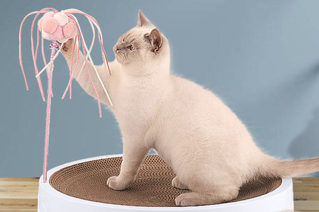 Krevet za mačke od valovitog papira