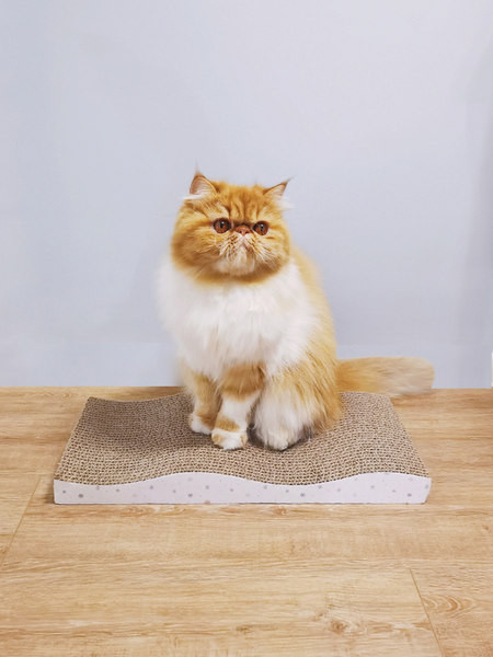 Grebalica za mačke od valovitog papira - set od dva ili više komada