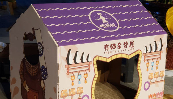 Kaķu kartona māja ar aplikāciju