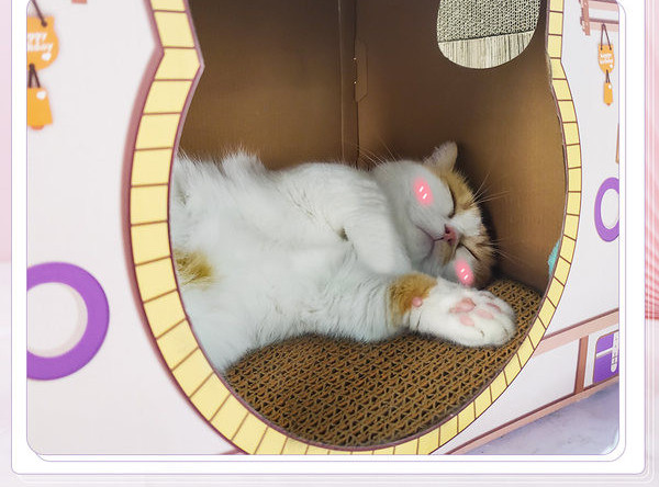 Kaķu kartona māja ar aplikāciju