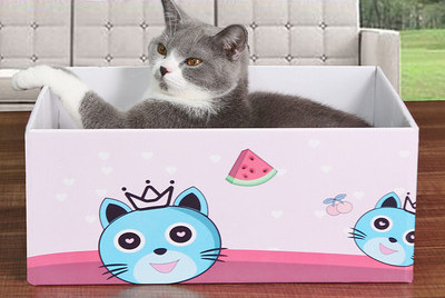 Mai multe modele de zgarieturi pentru pisici din hartie ondulata