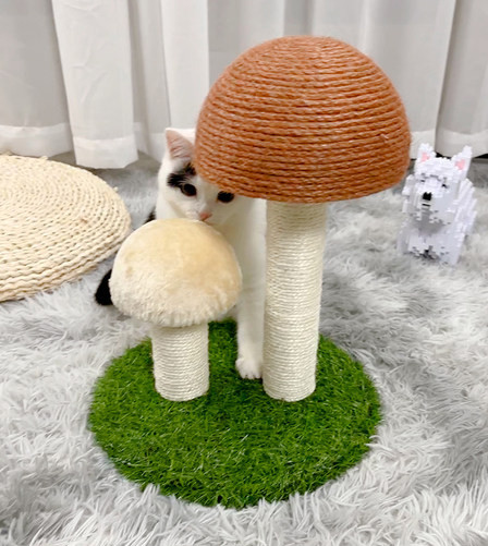 Ξύστρα σε σχήμα σφουγγαριού με σχοινί κάνναβης