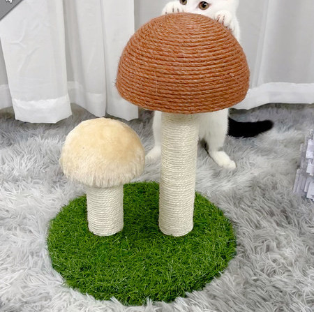 Ξύστρα σε σχήμα σφουγγαριού με σχοινί κάνναβης