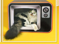 Grebalica za mačke nekoliko modela