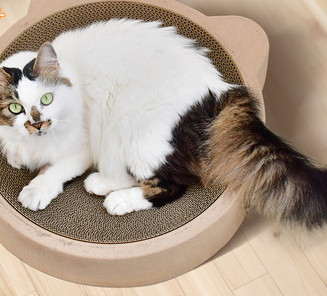 Grebalica za mačke nekoliko modela