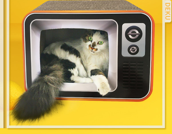 Grebalica za mačke nekoliko modela