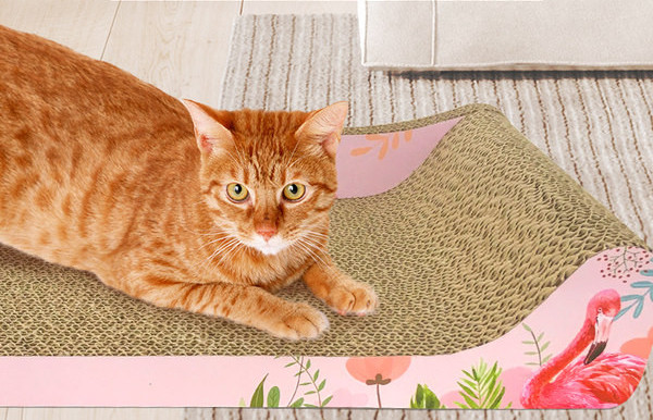 Zgarietor pentru pisici - doua marimi