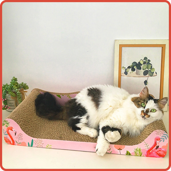 Zgarietor pentru pisici - doua marimi