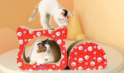 Lainepaberist kassikujuline kriimustuspaber