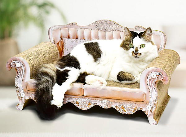 Kombinirana grebalica za mačke i krevet