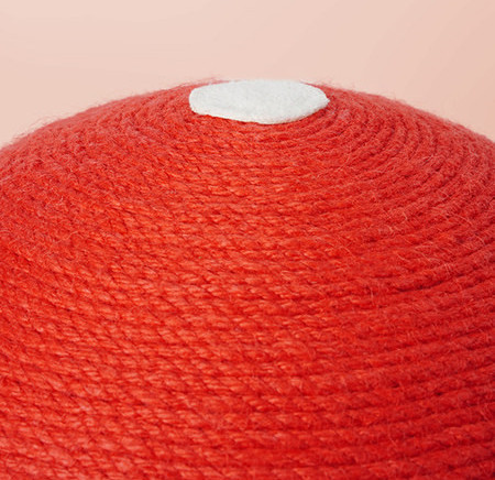 Kahe mudeliga kassikraapimisseade