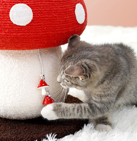 Kahe mudeliga kassikraapimisseade