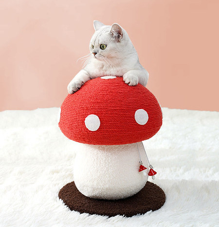 Kahe mudeliga kassikraapimisseade