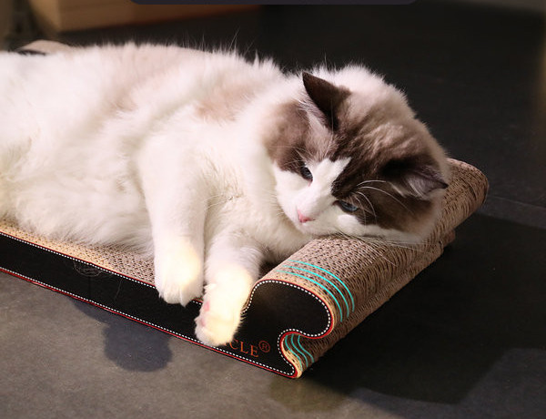 Scarlet pentru pisici in forma de canapea - din hartie ondulata