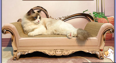 Ξύστρα σε σχήμα καναπέ για γάτες