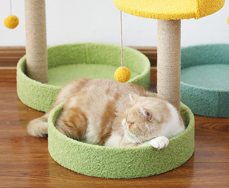 Vertikaalne kriimustussammas – kassidele