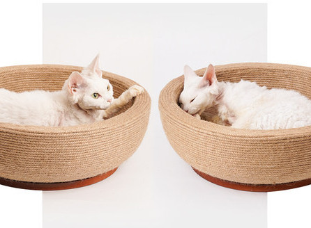 Ξύστρα σιζάλ γάτας - πολλά μοντέλα