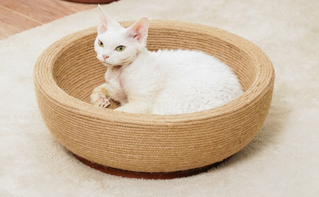 Ξύστρα σιζάλ γάτας - πολλά μοντέλα