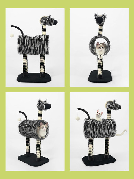 Pisică cățărând zebră cu un mâzgălitor