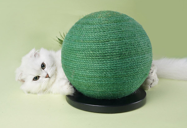 Okrugla grebalica za mačke