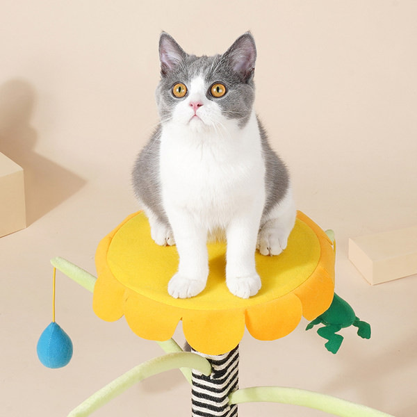 Zgarietor vertical din lemn pentru pisici