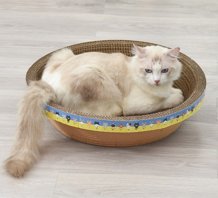 Scarlet pentru pisici - mai multe modele