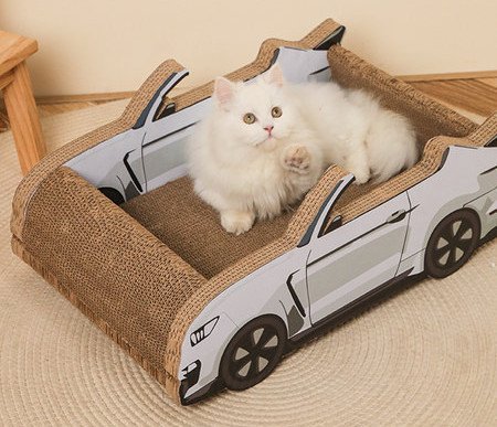 Zgarietor de pisici in forma de masina