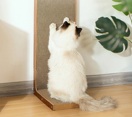 Grebalica - igračka za mačke