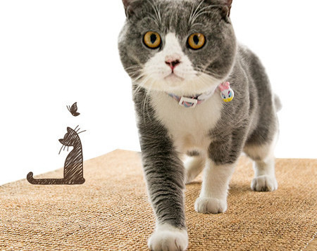 Kriimustuskindlad kassipadjad