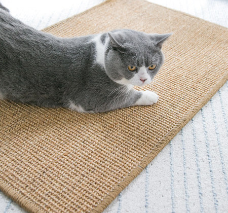 Kriimustuskindlad kassipadjad