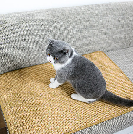 Kriimustuskindlad kassipadjad